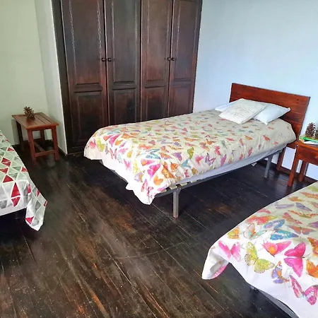 Teide In Icod De Vinos