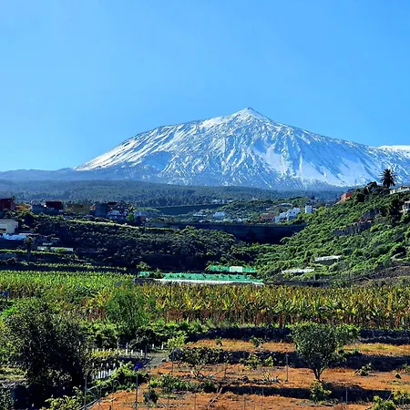 Teide In Icod De Vinos Icod De Los Vinos