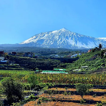 Teide In Icod De Vinos By Hrtenerife Net Icod De Los Vinos