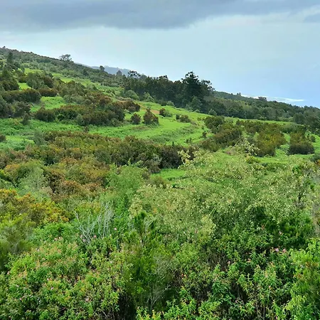 펜션 Teide In Icod De Vinos *