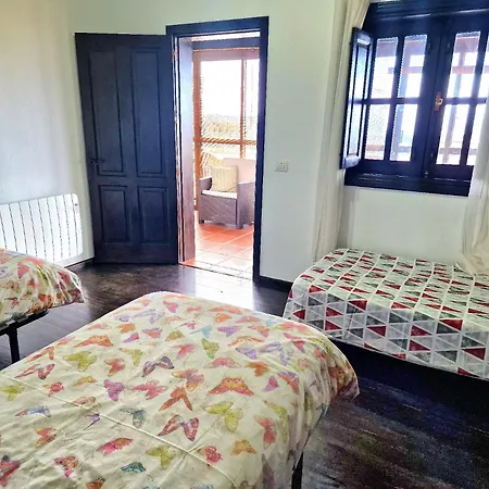 Teide In Icod De Vinos