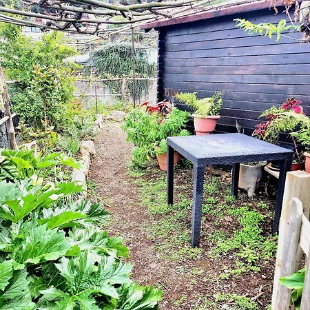 펜션 Teide In Icod De Vinos