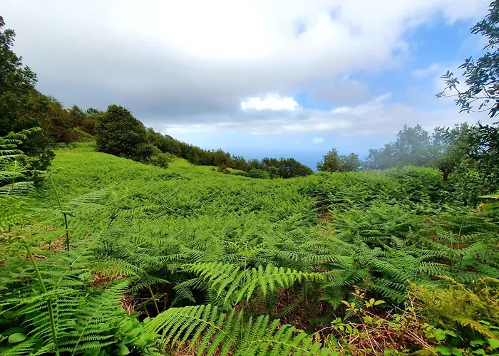 Teide In Icod De Vinos Dom wakacyjny Icod De Los Vinos