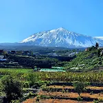Teide In Icod De Vinos Icod De Los Vinos
