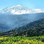 Teide In Icod De Vinos * Icod De Los Vinos