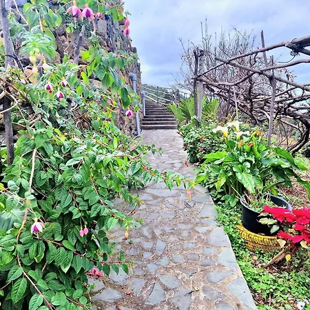 Teide In Icod De Vinos 펜션 이코드레로스비노스