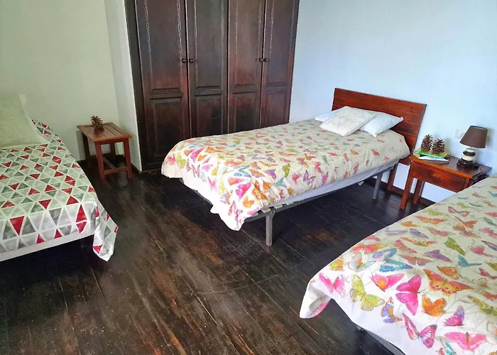 Teide In Icod De Vinos