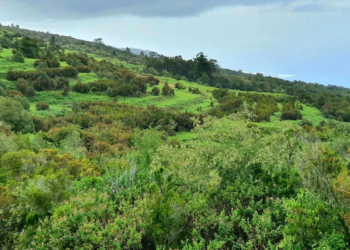 Casa vacanze Teide In Icod De Vinos *