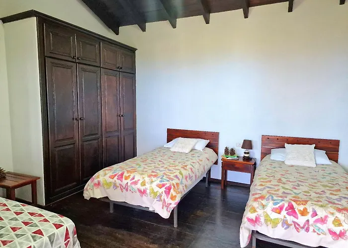 Teide In Icod De Vinos Casa vacanze Icod De Los Vinos