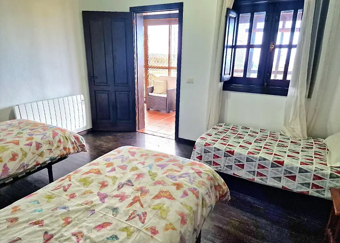 Teide In Icod De Vinos