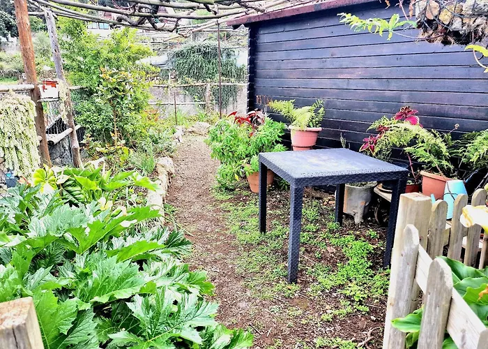 Casa vacanze Teide In Icod De Vinos