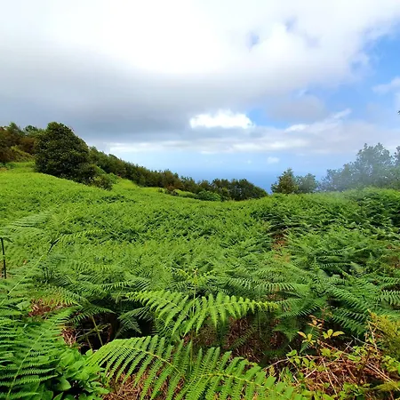 Teide In Icod De Vinos Casa de Férias Icod De Los Vinos